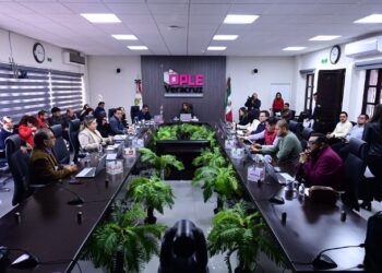 OPLE Veracruz aprueba topes de gastos de precampañas y campañas para la elección local extraordinaria del Ayuntamiento del municipio de Tamiahua
