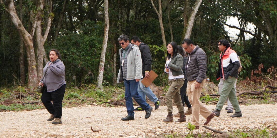 Ayuntamiento de Coatepec atiende denuncias ciudadanas y descarta obras irregulares en zonas naturales