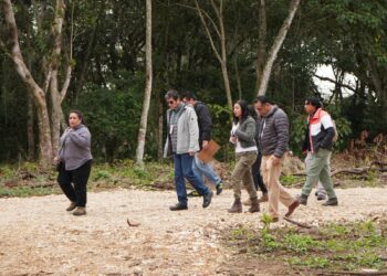 Ayuntamiento de Coatepec atiende denuncias ciudadanas y descarta obras irregulares en zonas naturales