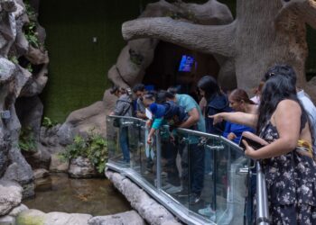 Por Carnaval, tendrá Aquarium horario especial del 14 al 17 de febrero