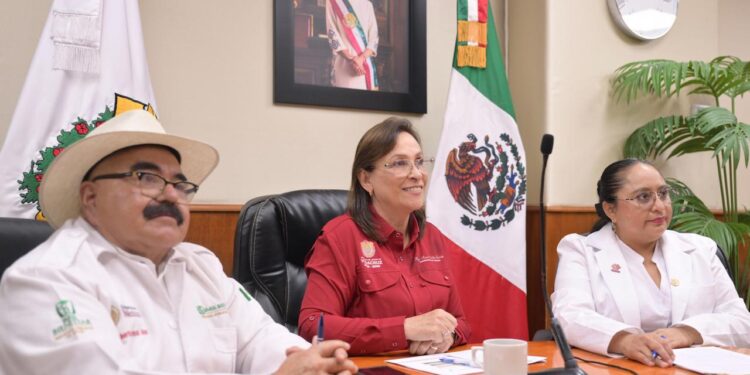 Se suma Veracruz a la Estrategia Nacional de Atención al Sarampión: Gobernadora