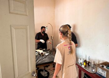 DIF San Andrés Tuxtla lleva Jornada Itinerante a comunidad de Tulapan