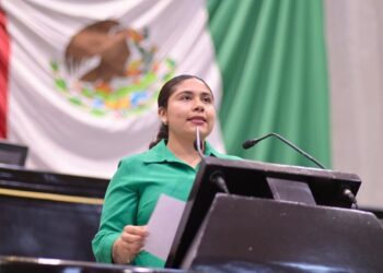 Legisladores del PVEM llaman a consolidar una justicia pronta y equitativa para las mujeres