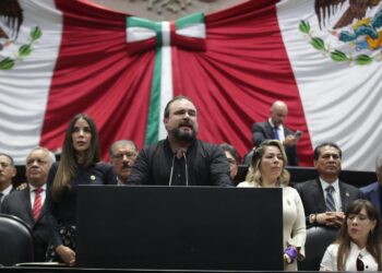 Congreso federal aumenta penas para castigar la tala ilegal