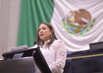 Grupo Legislativo del PVEM impulsa facilidades para madres lactantes trabajadoras