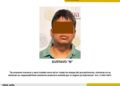 Cero tolerancia a la violencia contra los animales: Vinculan a proceso a presunto agresor de un canino en Poza Rica