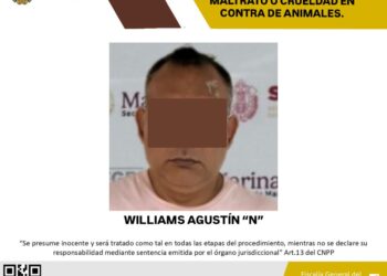 Cero tolerancia al maltrato animal: FGE ejecuta orden de aprehensión contra presunto agresor de un canino en Veracruz