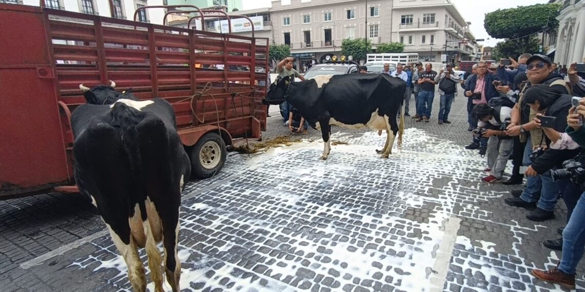 Ganaderos tiran leche en pleno centro de Xalapa para exigir a Liconsa restablecer la recepción del producto