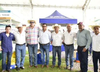 Con apoyo del Estado, inició en Tantoyuca el Tianguis Ganadero con más de 200 ejemplares exhibidos