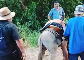 Tatahuicapan exige respuestas; muerte de “El Coche” pone bajo la lupa al alcalde Vladimir González