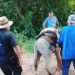 Tatahuicapan exige respuestas; muerte de “El Coche” pone bajo la lupa al alcalde Vladimir González