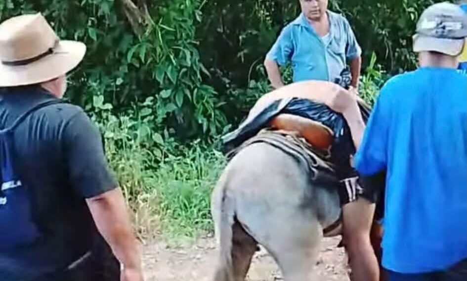 Tatahuicapan exige respuestas; muerte de “El Coche” pone bajo la lupa al alcalde Vladimir González