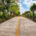 Obra cumplida: Gobierno de Rafa Fararoni pavimenta calle principal de El Nopal