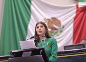 Diputada del Partido Verde, Estefanía Bastida, propone cárcel por explotación financiera de adultos mayores