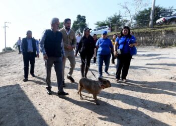 En Xalapa, activista a favor de los animales denuncia que el Ayuntamiento le retiró el apoyo para la construcción de un albergue