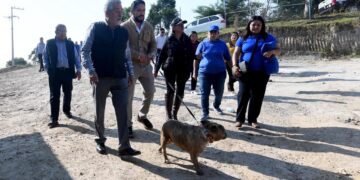 En Xalapa, activista a favor de los animales denuncia que el Ayuntamiento le retiró el apoyo para la construcción de un albergue